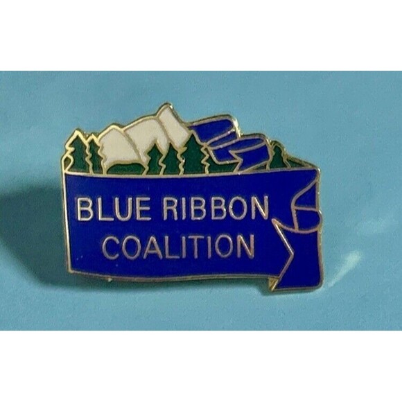 The Blue Ribbon Coalition-conservation logo Pin - Picture 1 of 2